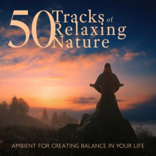 50 Tracks of Relaxing Nature Ambient for Creating Balance in Your Life