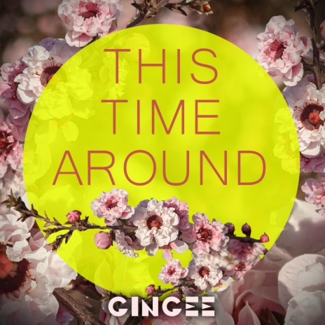 This Time Around (Instrumental) | Boomplay Music