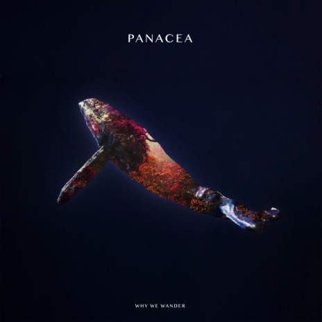 PANACEA | Boomplay Music