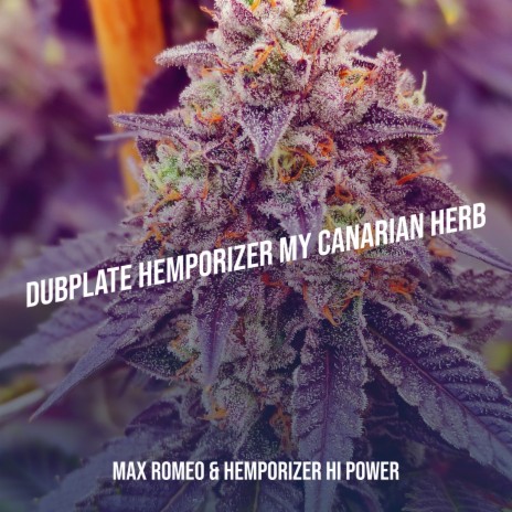 Dubplate Hemporizer My Canarian Herb ft. Hemporizer Hi Power | Boomplay Music