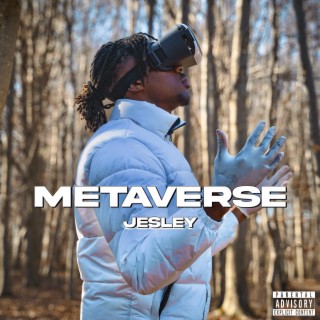 Metaverse