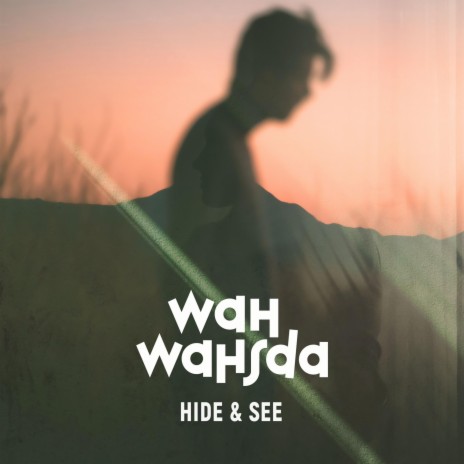 Hide & See | Boomplay Music