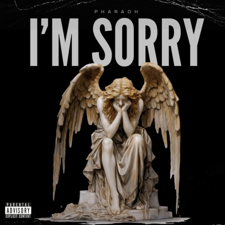 I'M SORRY | Boomplay Music