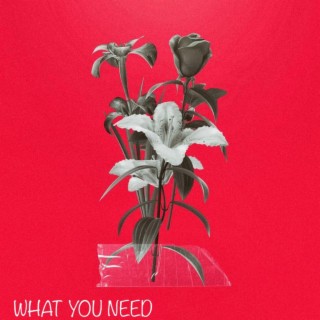 What You Need