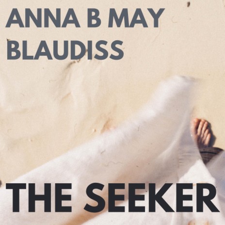 the seeker ft. Anna B May | Boomplay Music