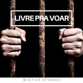 Livre pra Voar