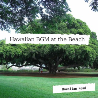 Hawaiian BGM at the Beach