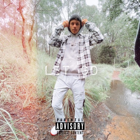 Let Go (feat. ZPLUTO) | Boomplay Music