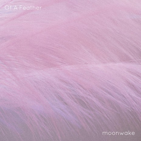 Of A Feather | Boomplay Music