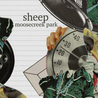 sheep lyrics | Boomplay Music