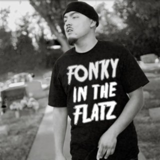 Fonky in the Flatz