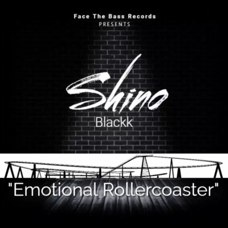 Emotional Rollercoaster (Radio Mix) | Boomplay Music