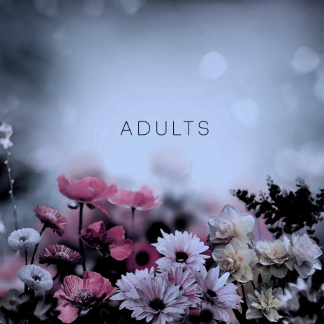 Adults | Boomplay Music