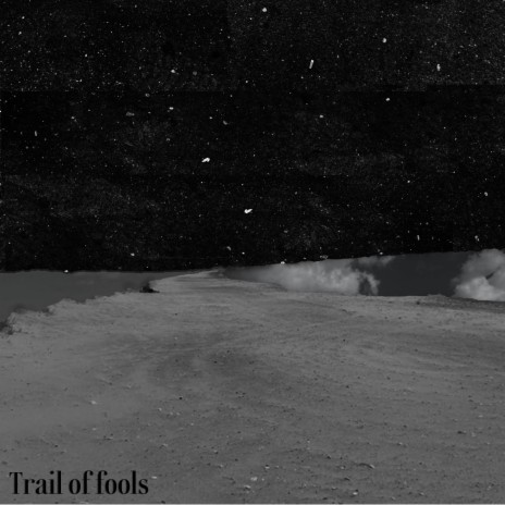 Trail of Fools | Boomplay Music