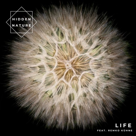 Life ft. Remko Kühne | Boomplay Music