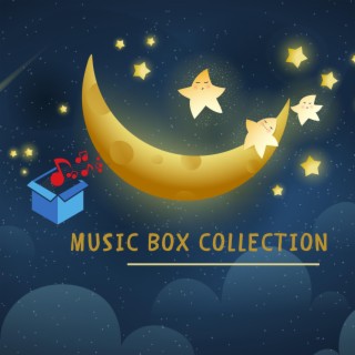 Box the Music