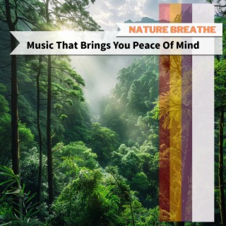 Music That Brings You Peace Of Mind