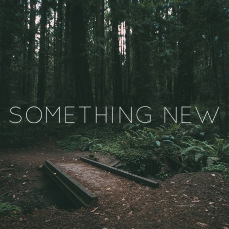 Something New | Boomplay Music