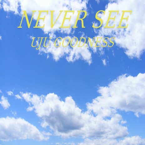 Never See