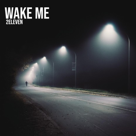 Wake Me | Boomplay Music