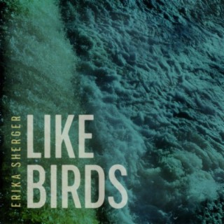 Like Birds