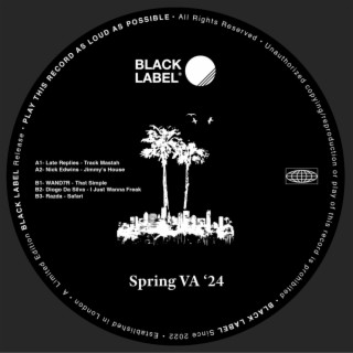 Spring VA '24