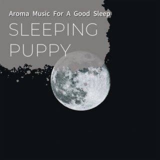 Aroma Music For A Good Sleep