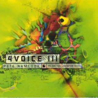 4Voice III