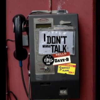 I Don't Wanna Talk (feat. Buffalo Flame & Dom. P)