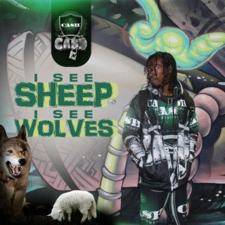 I See Sheep I See Wolves