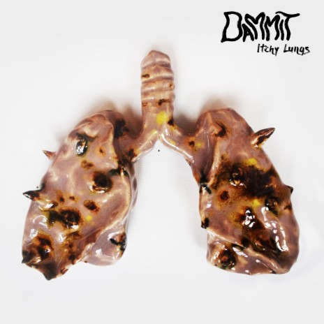 Itchy Lungs | Boomplay Music