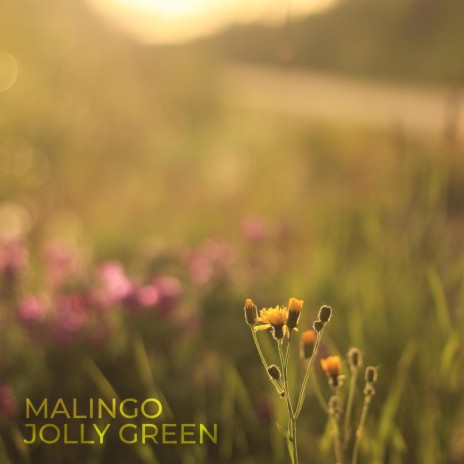 Jolly Green | Boomplay Music