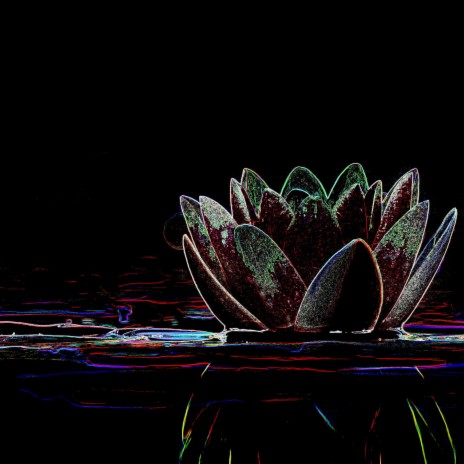 Lotus | Boomplay Music