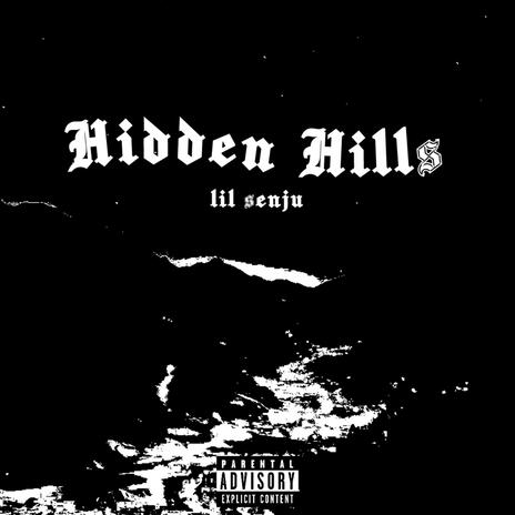 Hidden Hills | Boomplay Music