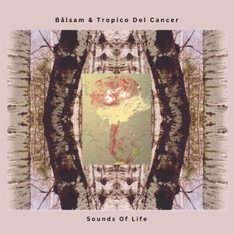 Sounds Of Life ft. Tropico Del Cancer | Boomplay Music