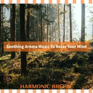 Soothing Aroma Music To Relax Your Mind