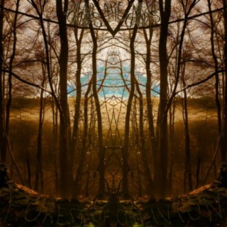 Forest of Oblivion