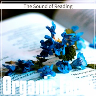 The Sound of Reading