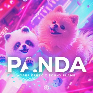 Panda (Techno Version)