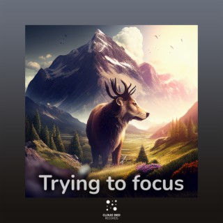 Trying to Focus