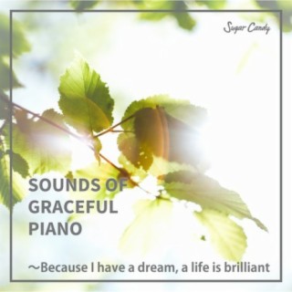 SOUNDS OF GRACEFUL PIANO 〜Because I have a dream, a life is brilliant