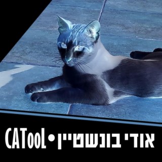 CATool - 2024 Remastered