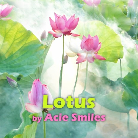 Lotus | Boomplay Music