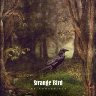 Strange Bird