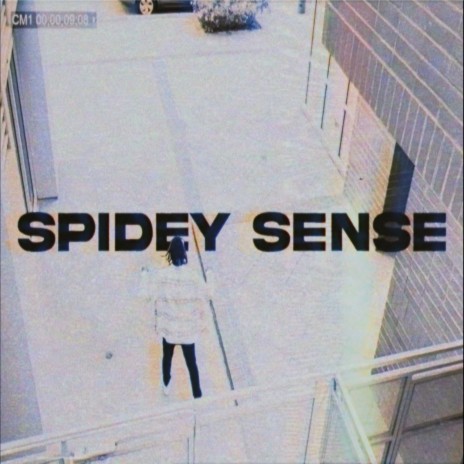 Spidey Sense | Boomplay Music