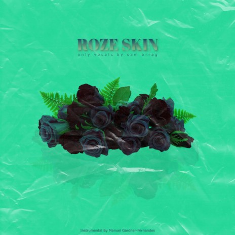 Roze Skin With Vocals | Boomplay Music