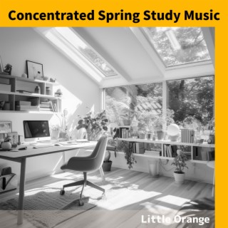 Concentrated Spring Study Music