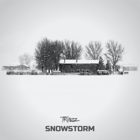 Snowstorm | Boomplay Music