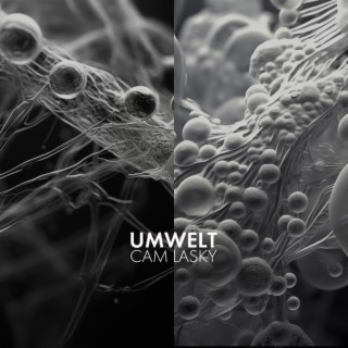 UMWELT, Vol. 1