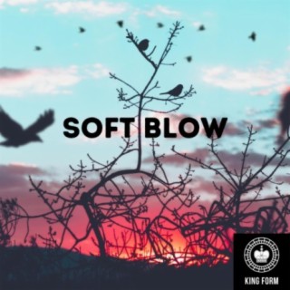 Soft Blow